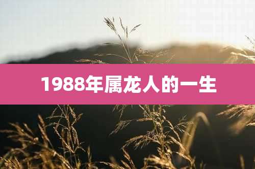 1988年属龙人的一生