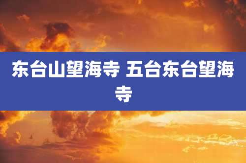 东台山望海寺 五台东台望海寺