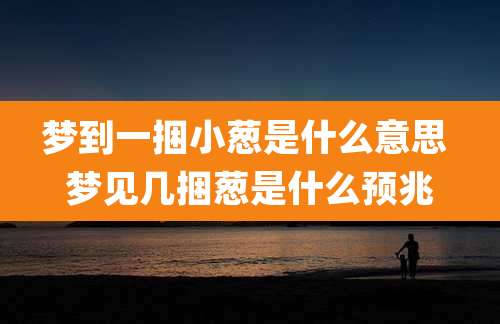 梦到一捆小葱是什么意思 梦见几捆葱是什么预兆