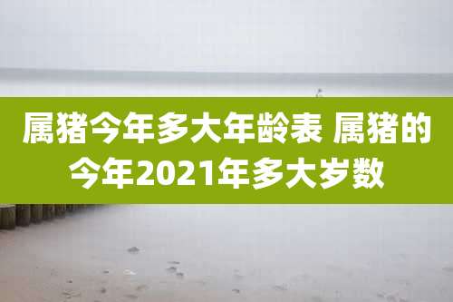 属猪今年多大年龄表 属猪的今年2021年多大岁数