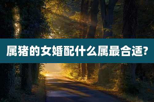属猪的女婚配什么属最合适?