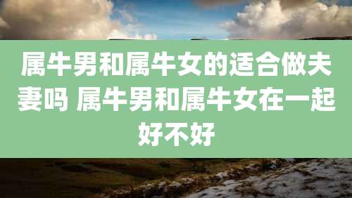 属牛男和属牛女的适合做夫妻吗 属牛男和属牛女在一起好不好