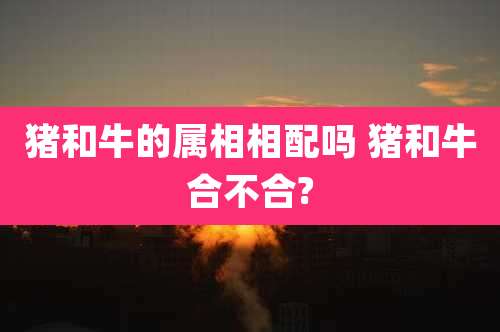 猪和牛的属相相配吗 猪和牛合不合?