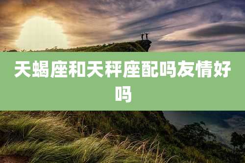 天蝎座和天秤座配吗友情好吗