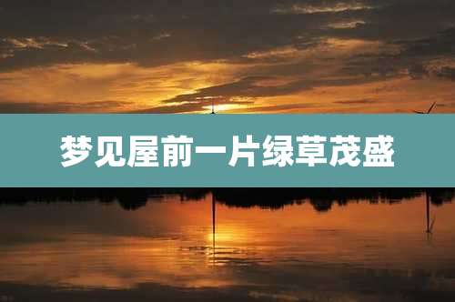 梦见屋前一片绿草茂盛