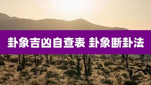 卦象吉凶自查表 卦象断卦法