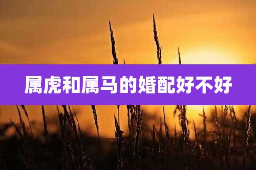 属虎和属马的婚配好不好