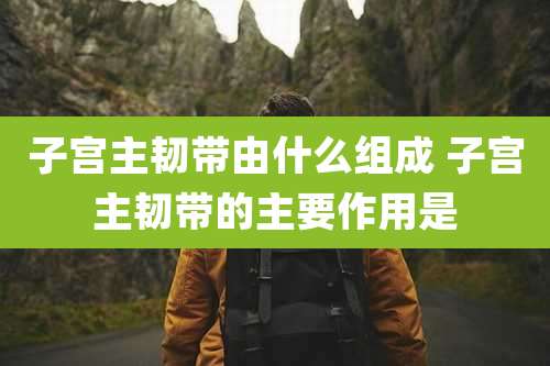 子宫主韧带由什么组成 子宫主韧带的主要作用是