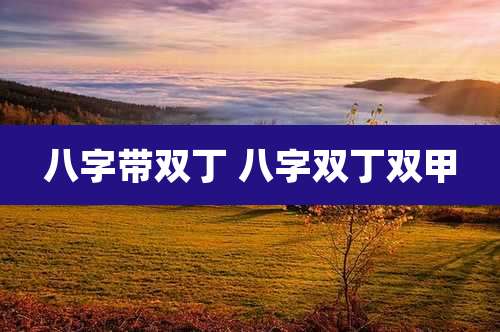 八字带双丁 八字双丁双甲