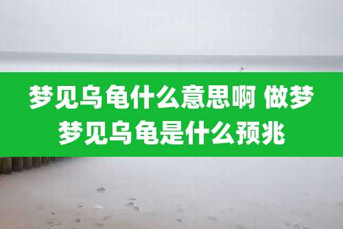 梦见乌龟什么意思啊 做梦梦见乌龟是什么预兆