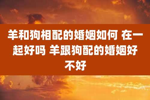 羊和狗相配的婚姻如何 在一起好吗 羊跟狗配的婚姻好不好