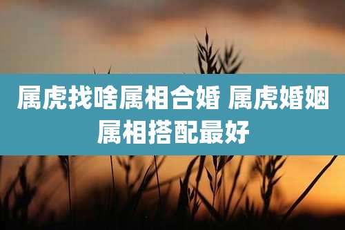 属虎找啥属相合婚 属虎婚姻属相搭配最好