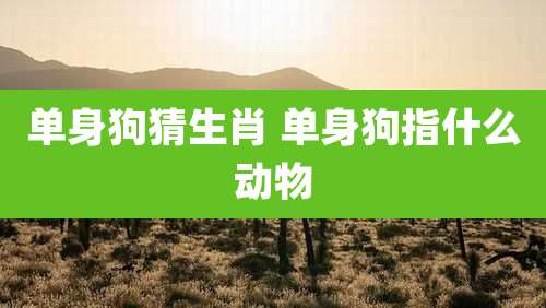 单身狗猜生肖 单身狗指什么动物