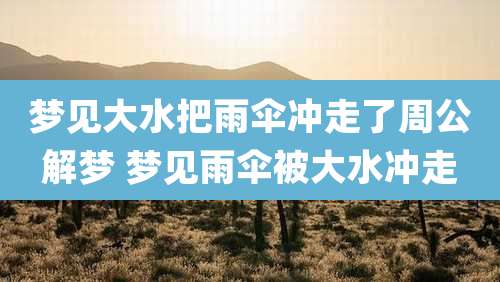 梦见大水把雨伞冲走了周公解梦 梦见雨伞被大水冲走