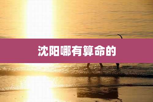 沈阳哪有算命的