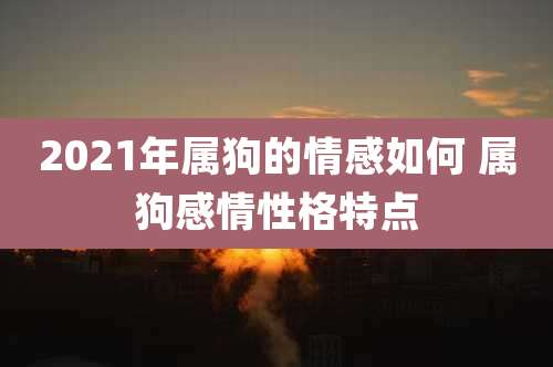 2021年属狗的情感如何 属狗感情性格特点