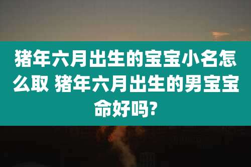 猪年六月出生的宝宝小名怎么取 猪年六月出生的男宝宝命好吗?