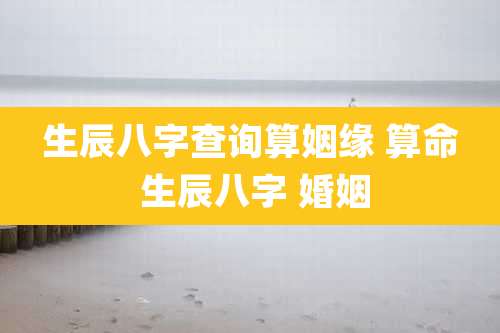 生辰八字查询算姻缘 算命 生辰八字 婚姻