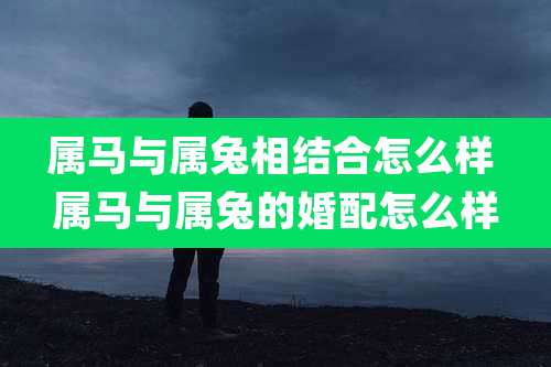 属马与属兔相结合怎么样 属马与属兔的婚配怎么样