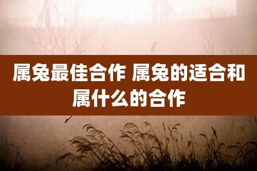 属兔最佳合作 属兔的适合和属什么的合作