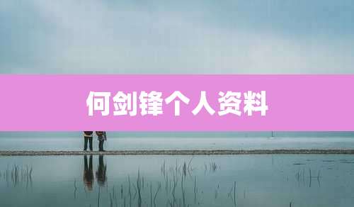 何剑锋个人资料