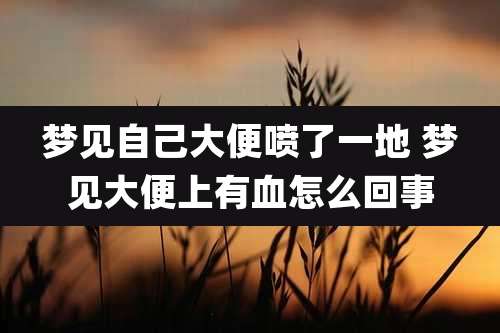 梦见自己大便喷了一地 梦见大便上有血怎么回事