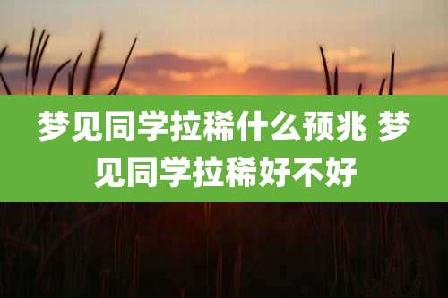 梦见同学拉稀什么预兆 梦见同学拉稀好不好