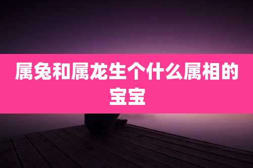 属兔和属龙生个什么属相的宝宝