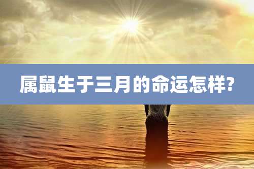 属鼠生于三月的命运怎样?