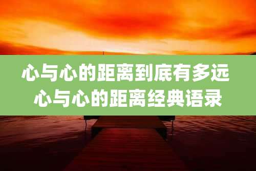 心与心的距离到底有多远 心与心的距离经典语录
