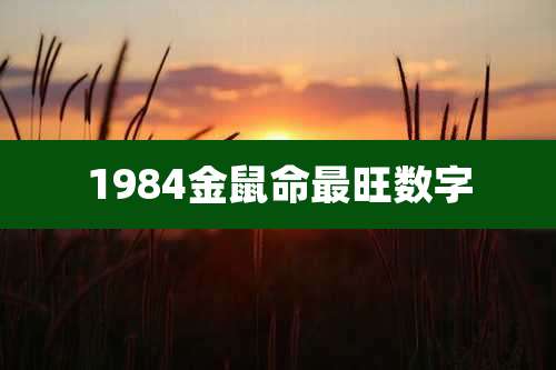 1984金鼠命最旺数字
