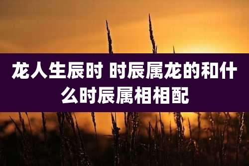 龙人生辰时 时辰属龙的和什么时辰属相相配