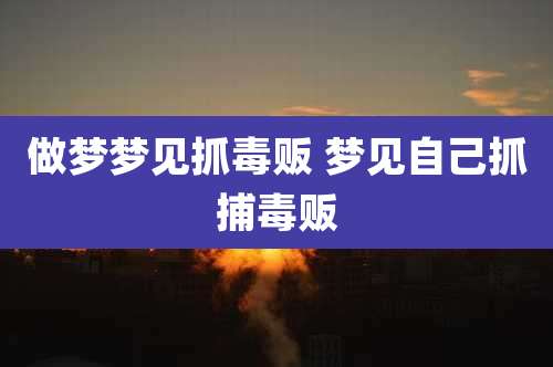 做梦梦见抓毒贩 梦见自己抓捕毒贩