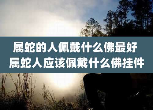 属蛇的人佩戴什么佛最好 属蛇人应该佩戴什么佛挂件
