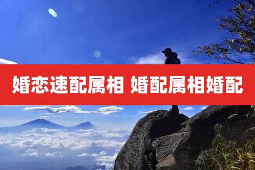 婚恋速配属相 婚配属相婚配