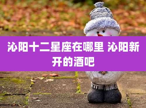 沁阳十二星座在哪里 沁阳新开的酒吧