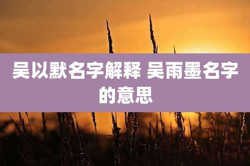 吴以默名字解释 吴雨墨名字的意思