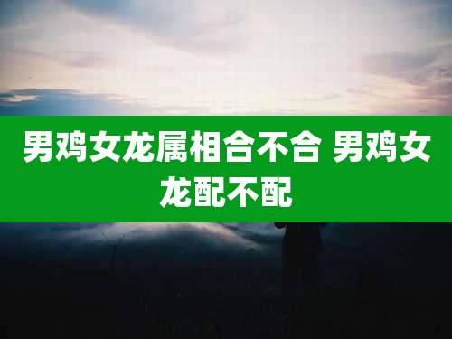 男鸡女龙属相合不合 男鸡女龙配不配