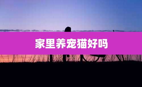 家里养宠猫好吗