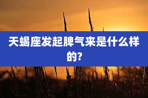 天蝎座发起脾气来是什么样的?