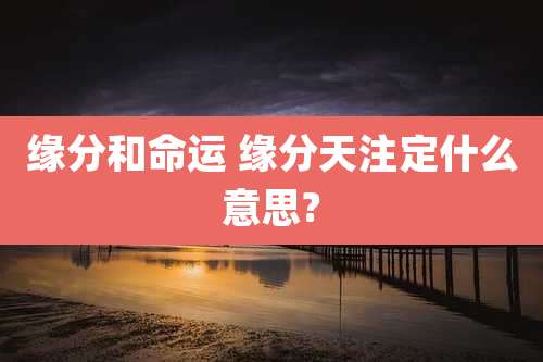 缘分和命运 缘分天注定什么意思?