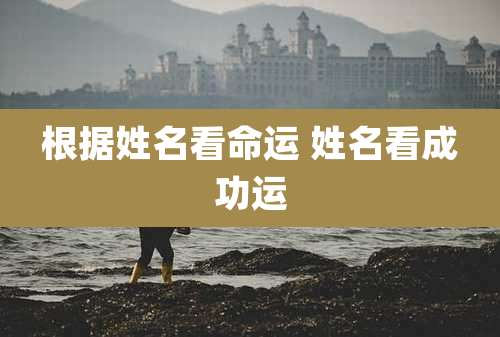 根据姓名看命运 姓名看成功运