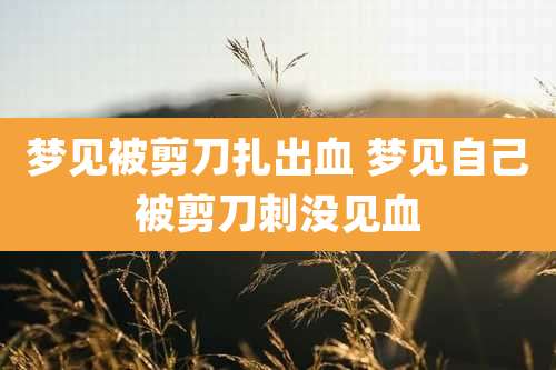 梦见被剪刀扎出血 梦见自己被剪刀刺没见血