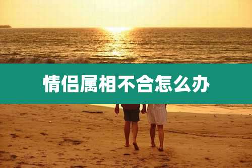 情侣属相不合怎么办