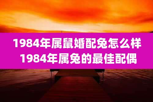 1984年属鼠婚配兔怎么样 1984年属兔的最佳配偶