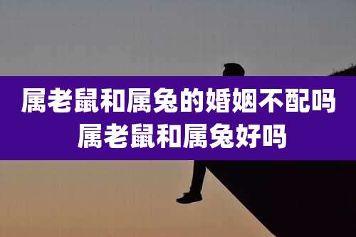 属老鼠和属兔的婚姻不配吗 属老鼠和属兔好吗