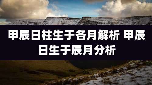 甲辰日柱生于各月解析 甲辰日生于辰月分析