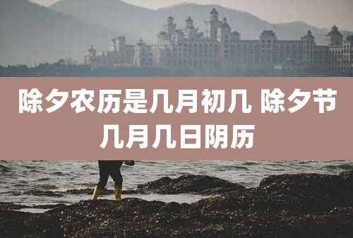 除夕农历是几月初几 除夕节几月几日阴历