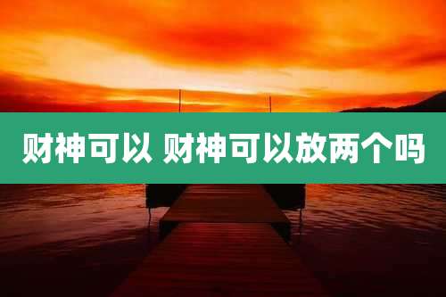 财神可以 财神可以放两个吗