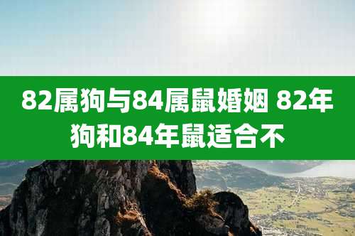 82属狗与84属鼠婚姻 82年狗和84年鼠适合不